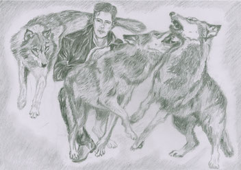 Wolfsrudel, Tierkommunikation