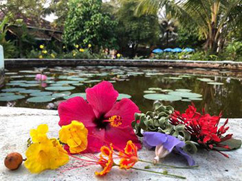 Goa, met z'n prachtige bloemen