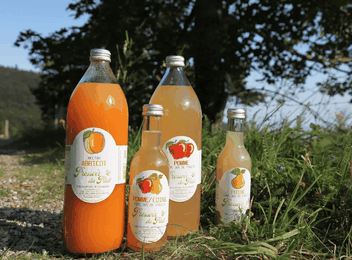 © Le Pressoir du Pilat