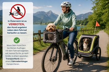 Bild KI generiert