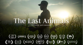 ©THE LAST ANIMALS