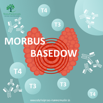Schilddrüsenstörung Morbus Basedow