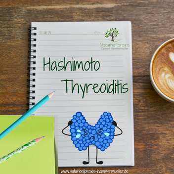 Schilddrüsenstörung Hasimoto Thyreoiditis