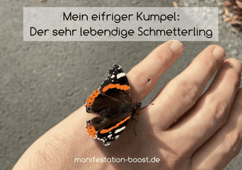 Mein eifriger Freund: Der sehr lebendige Schmetterling