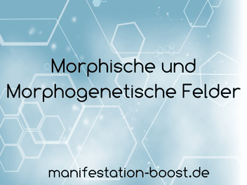 Morphische und Morphogenetische Felder