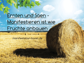 Ernten und Säen - Manifestieren ist wie Früchte anbauen