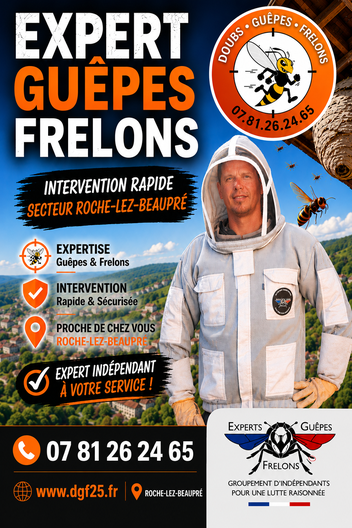 Destruction de nid de guêpes et frelons à Roche lez Beaupré Novillars dans le Doubs.