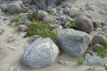 Ostseestrand (Marianne Horn)