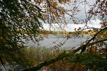 Templin, Blick auf den Lübbesee (Günter Maaß)