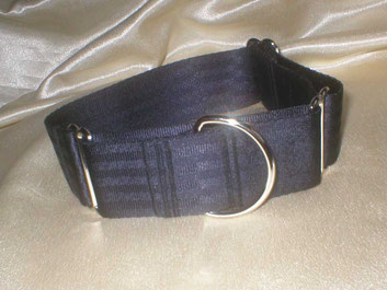 Martingale, Halsband, 4cm, Gurtband schwarz