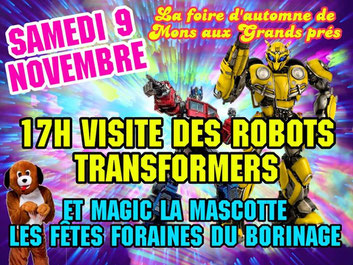 costume transformers , mascotte transformers , show transformers , robot transformers , animation transformers france