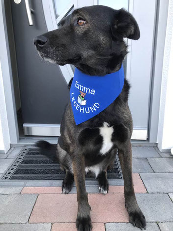 Halstuch in royalblau bestickt mit Lesehund Emma, textilfashion_de, Bücherei Miesbach