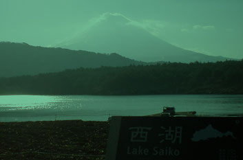　　　　　　　　　　　　　西湖からのぞむ今朝の富士山