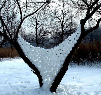 Andy Goldsworthy
