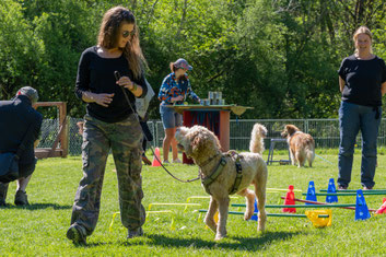 Frau mit Hund an der Leine auf einer Wiese mit weiteren Personen und Hunden im Hintergrund