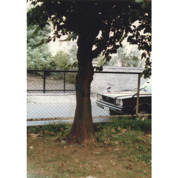 “Background #6” 2013, oil on photograph, 12.7×8.9cm