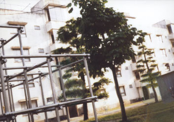 “Background #3” 2013, oil on photograph, 8.9×12.7cm