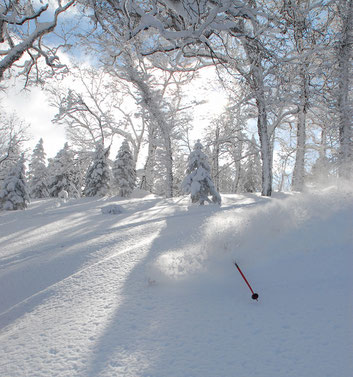 guided ski trip in Hokkaido japan