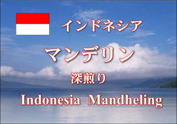 インドネシア　マンデリン　深煎り