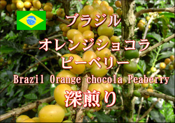 ブラジル　ピーベリー　深煎り