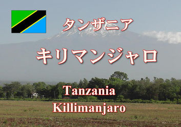 タンザニア　キリマンジャロ　中深煎り