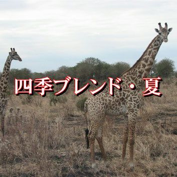 ワイルドで奥行きのあるブレンドに仕上げました。