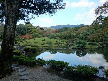 依水園のお庭　ゆっくりと堪能できます。　京都観光タクシー永田信明