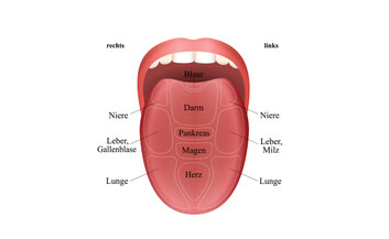 Zungendiagnostik