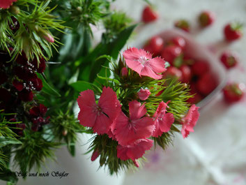 Erdbeere, Nachtisch mit Erdbeeren, Dessert,