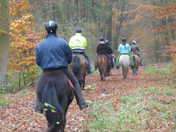 Harmonischer Ritt im Wald (Foto: Katja Semrau)