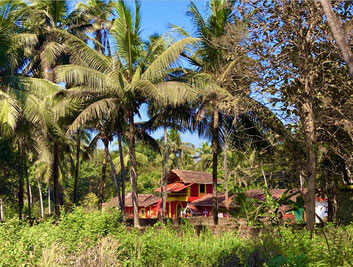 COLORFUL HOUSES UNDER PALMTREES – a typical scenario near Benaulim