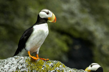 Mit dem Wohnmobil auf dem Wohnmobilstellplatz Seward in Alaska und den Yukon