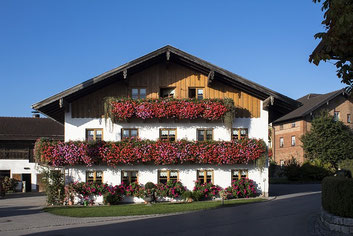 Gebäudeversicherung für älteres Bauernhaus