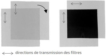 filtres polarisants parallèles et croisés