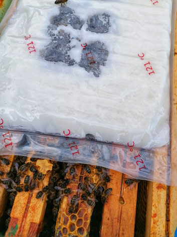 candi candy pour nourrir les abeilles noires en février www.labeillenoire.be Amay