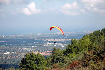 Bild: Paragleiten in Caranna, Süditalien (Apulien)