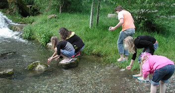 Keschern am Fischpass in Baunach - Bild: Fuchsenwiese