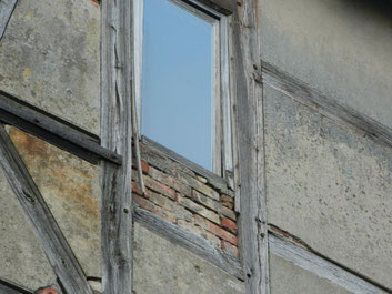 Foto: Miriam Laskowsky