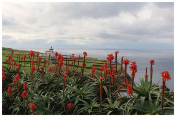 Ginetes - Sao Miguel, Azoren