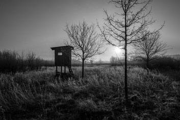 Ansitz im Gegenlicht bei Sonnenaufgang im Naturschutzgebiet Steinheide. Aufnahme mit Nikon Z7 und Z 14-30mm 1:4,0 S. Copyright 2023 by Dr. Klaus Schoerner, www.bonnescape.de