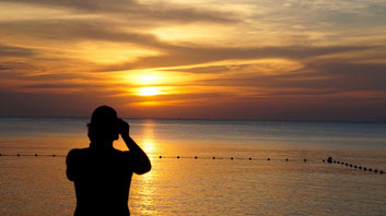 Auf Phu Quoc, Vietnam [Photo Copyright Viola Ruess, 2014] 