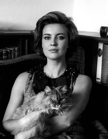 La foto, tratta da Wikipedia, è di pubblico dominio