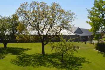 Das Foto zeigt den weitläufigen Garten des Heilpädagogischen Wohnheims. Im Vordergrund sind große, grüne Rasenflächen mit mehreren Bäumen zu sehen, die Schatten werfen. Rechts steht eine Gartenbank, im Hintergrund befindet sich die Einrichtung.
