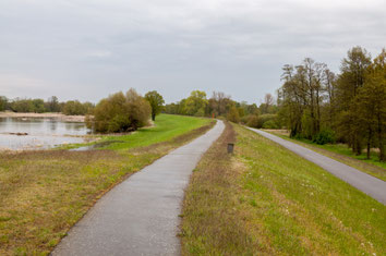 Oderdeich, Guben