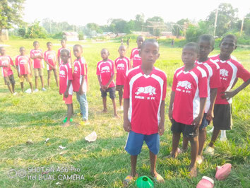 Congo Rhinos