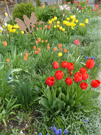 Unser Garten im April - Foto: Inge Müller