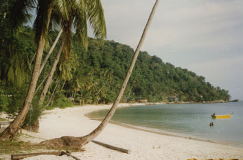 Perhentian-Islands-eiland-strand-zee-palmboom-Maleisië