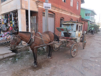 Pyin-Oo-Lwin-koets-paard-Myanmar-Birma