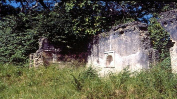 Shanga. Mosque ruins