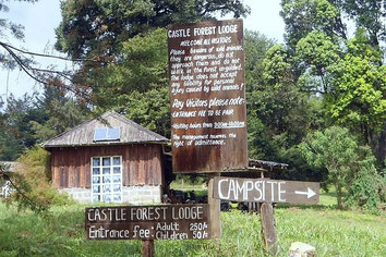 Castle Forest Lodge